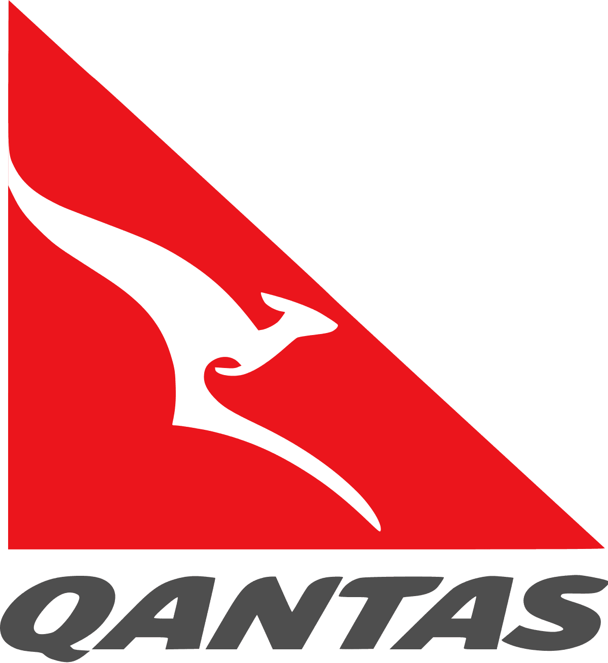 Airline logo