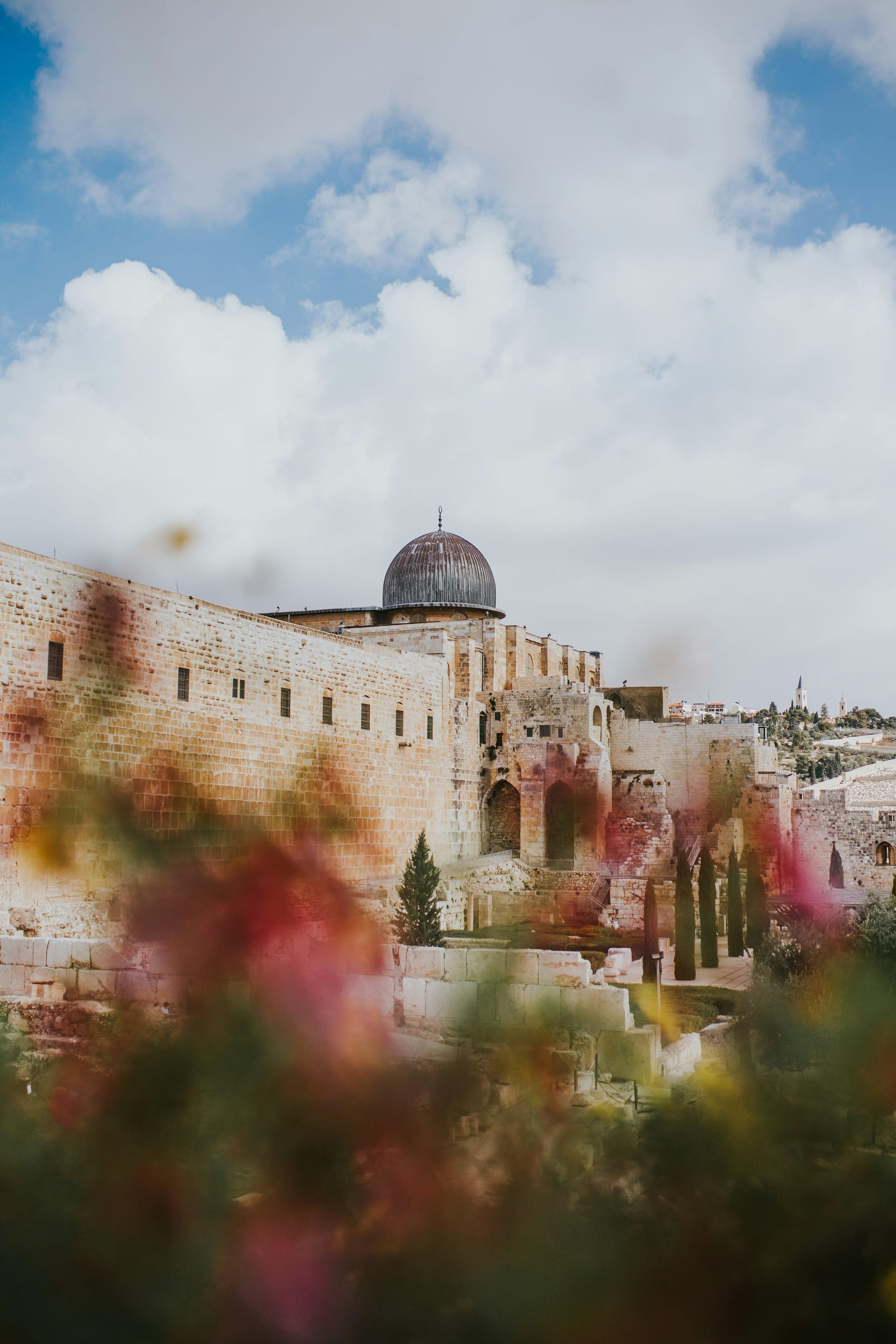 A view looking towards the Old City walls and the dome of a holy site, framed by green plants in the foreground.