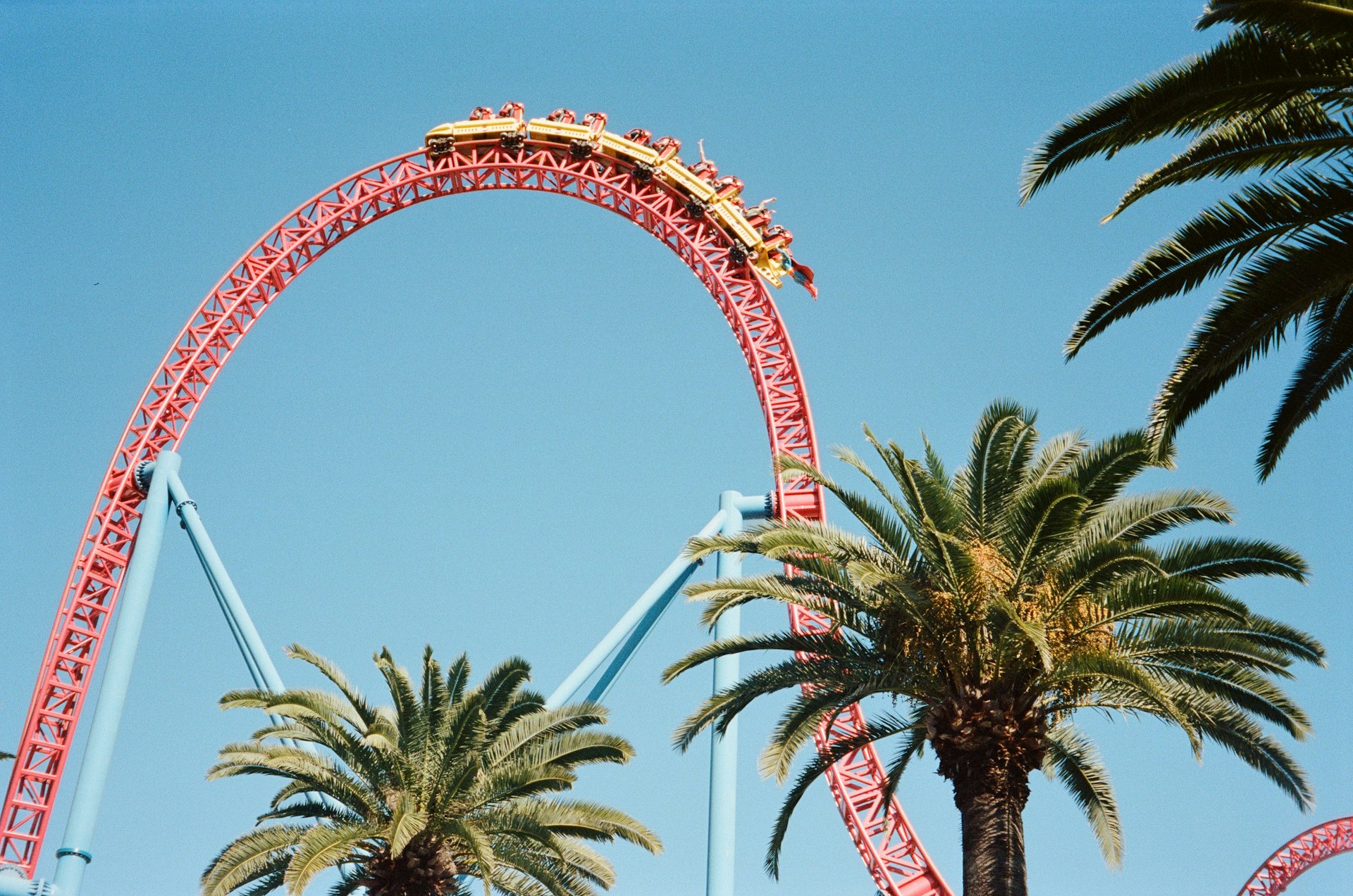 A large red roller coaster loop towering over palm trees against a clear blue sky at a theme park.