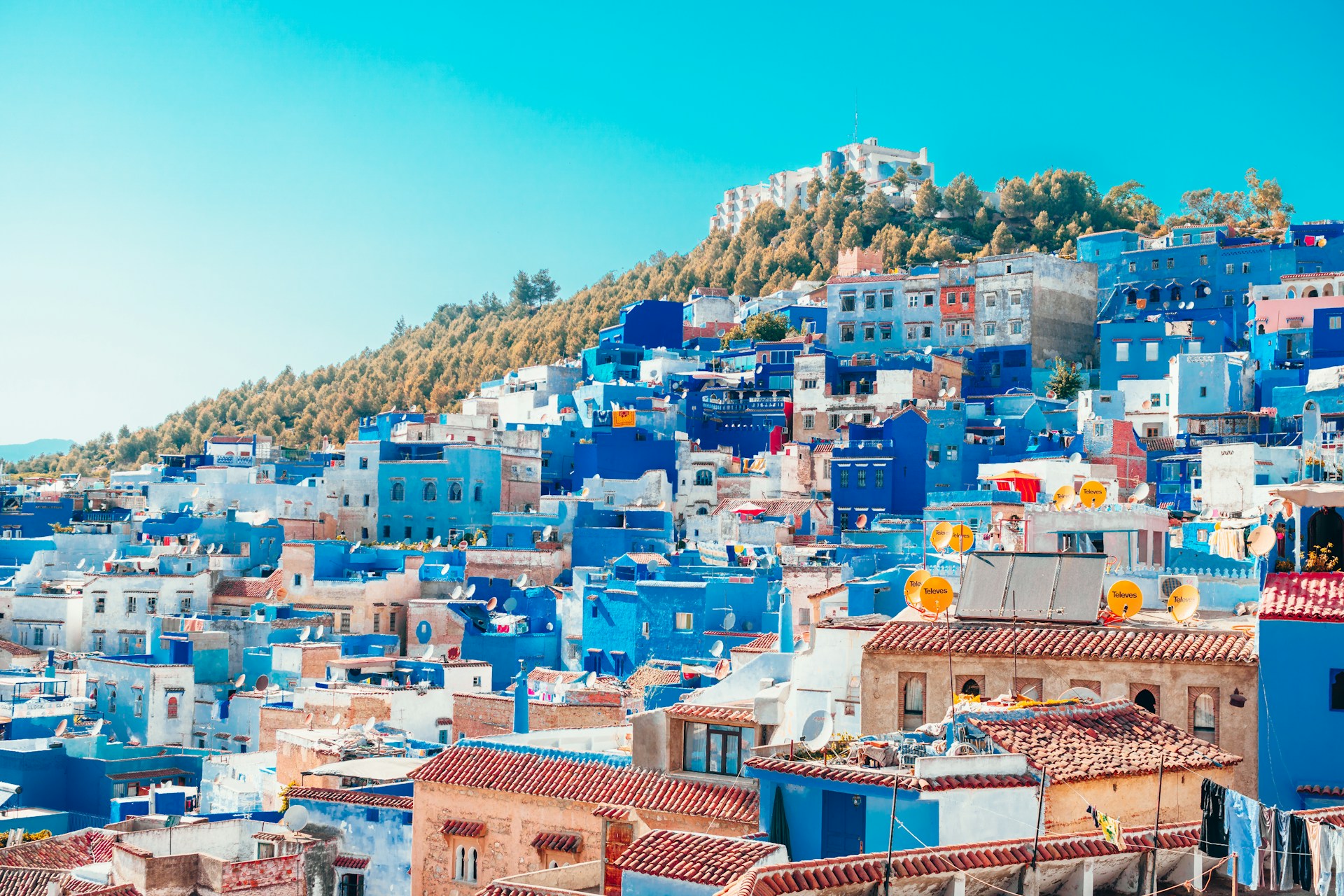 A hillside view of the dense cluster of blue-washed buildings in the city of Chefchaouen.